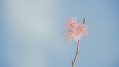 测你对河北大学的了解程度